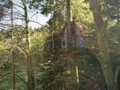 1 bedroom Treehouse near Saint-Julien-Labrousse, Rhone Alps, Auvergne-Rhône-Alpes, France