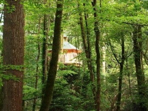1 bedroom Treehouse near Cléder, Brittany, Brittany, France
