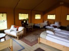 1 bedroom Safari Lodge near Varen, Tarn-et-Garonne, Midi-Pyrenees, France