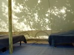 Tente Lodge Safari image #3