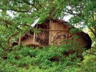 1 bedroom Treehouse near La Chapelle Chaussée, Brittany, Brittany, France