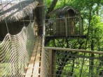 Cabane des Gorilles image #4