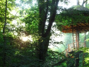 1 bedroom Treehouse near Magné, Vienne, Nouvelle Aquitaine, France