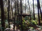 Réminiscence : la Cabane Spa dans les arbres image #23