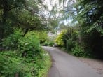 Take a visit to Cluny House Gardens Take a visit to Cluny House Gardens