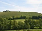 Try your hand at fossil hunting along nearby Charmouth beach on the World Heritage Jurassic Coast Try your hand at fossil hunting along nearby Charmouth beach on the World Heritage Jurassic Coast