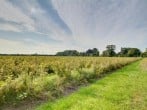 Lodge in Deal, Kent (259770) #15 Lodge in Deal, Kent (259770) #15