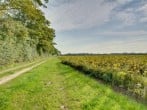 Lodge in Deal, Kent (259770) #16 Lodge in Deal, Kent (259770) #16