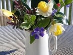 Lodge in Dinas, North Wales (263882) #38 Lodge in Dinas, North Wales (263882) #38