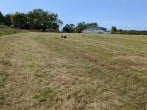 Lodge in Dinas, North Wales (263882) #43 Lodge in Dinas, North Wales (263882) #43