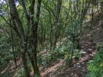 Lodge in Dinas, North Wales (263882) #45 Lodge in Dinas, North Wales (263882) #45