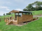 Camping in New Quay, West Wales (264429) #17 Camping in New Quay, West Wales (264429) #17