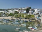 Camping in New Quay, West Wales (264429) #26 Camping in New Quay, West Wales (264429) #26