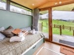 Camping in New Quay, West Wales (264429) #6 Camping in New Quay, West Wales (264429) #6