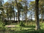 Lodge in Kelso, Scottish Borders (270841) #20