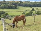 Camping in Cross, Somerset (279656) #12 Camping in Cross, Somerset (279656) #12