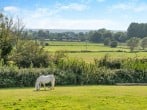 Camping in Cross, Somerset (279656) #5 Camping in Cross, Somerset (279656) #5