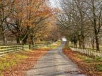 Cottage in Wycliffe, County Durham (279946) #20