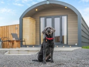 Pet Friendly and Romantic Wood Cabin Getaway