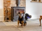 Cottage in Cowling, North Yorkshire (280774) #4 Cottage in Cowling, North Yorkshire (280774) #4