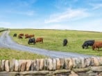 Cottage in Cowling, North Yorkshire (280774) #33 Cottage in Cowling, North Yorkshire (280774) #33