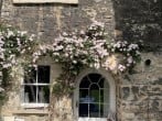 Apartment in Bath, Somerset (282517) #30 Apartment in Bath, Somerset (282517) #30