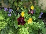 Apartment in Bath, Somerset (282517) #31 Apartment in Bath, Somerset (282517) #31