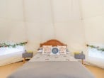 Camping in Haverfordwest, West Wales (282912) #10 Camping in Haverfordwest, West Wales (282912) #10