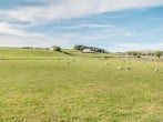 Cottage in West Blackdene, County Durham (283034) #27 Cottage in West Blackdene, County Durham (283034) #27