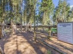 Camping in East Firsby, Lincolnshire (283098) #17 Camping in East Firsby, Lincolnshire (283098) #17