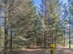 Camping in East Firsby, Lincolnshire (283098) #18 Camping in East Firsby, Lincolnshire (283098) #18