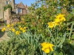Cottage in Warkworth, Northumberland (283155) #28