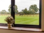 Cottage in Hainford, Norfolk (283253) #10 Cottage in Hainford, Norfolk (283253) #10
