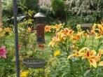 Cottage in Wooler, Northumberland (283260) #64