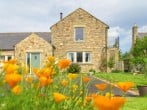 Cottage in Chatton, Northumberland (283282) #1 Cottage in Chatton, Northumberland (283282) #1