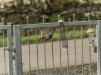 Lodge in Marykirk, Aberdeenshire (284253) #13 Lodge in Marykirk, Aberdeenshire (284253) #13