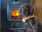 Lodge in Marykirk, Aberdeenshire (284253) #8 Lodge in Marykirk, Aberdeenshire (284253) #8