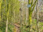 Camping in Barnacre, Lancashire (284348) #15 Camping in Barnacre, Lancashire (284348) #15