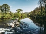 Cottage in Bickleigh, Mid and East Devon (284714) #27 Cottage in Bickleigh, Mid and East Devon (284714) #27