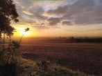 Cottage in Bridgwater, Somerset (36423) #18 Cottage in Bridgwater, Somerset (36423) #18