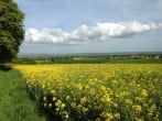 Cottage in Bridgwater, Somerset (36423) #20 Cottage in Bridgwater, Somerset (36423) #20