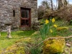 Cottage in Crickhowell, Mid Wales (42920) #29