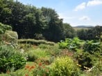 Cottage in Lampeter, Mid Wales (43288) #28 Cottage in Lampeter, Mid Wales (43288) #28