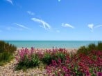 Cottage in Pevensey Bay, Sussex (46980) #19 Cottage in Pevensey Bay, Sussex (46980) #19