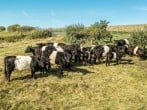 Lodge in Ashbourne, Derbyshire (48675) #20 Lodge in Ashbourne, Derbyshire (48675) #20