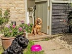 Cottage in Moreton -in- Marsh, Warwickshire (48885) #22 Cottage in Moreton -in- Marsh, Warwickshire (48885) #22