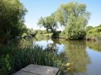 Enjoy fishing by the river Enjoy fishing by the river