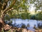 Plenty of hidden delights to find Plenty of hidden delights to find