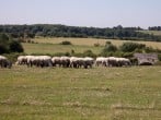 Situated on a working farm Situated on a working farm