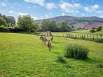 Cottage in Ross-on-wye, Herefordshire (50563) #21